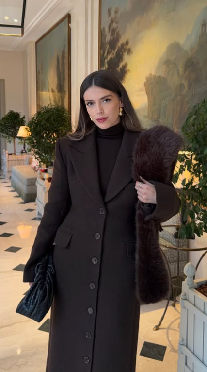 Brown Luxury Winter Outfit
